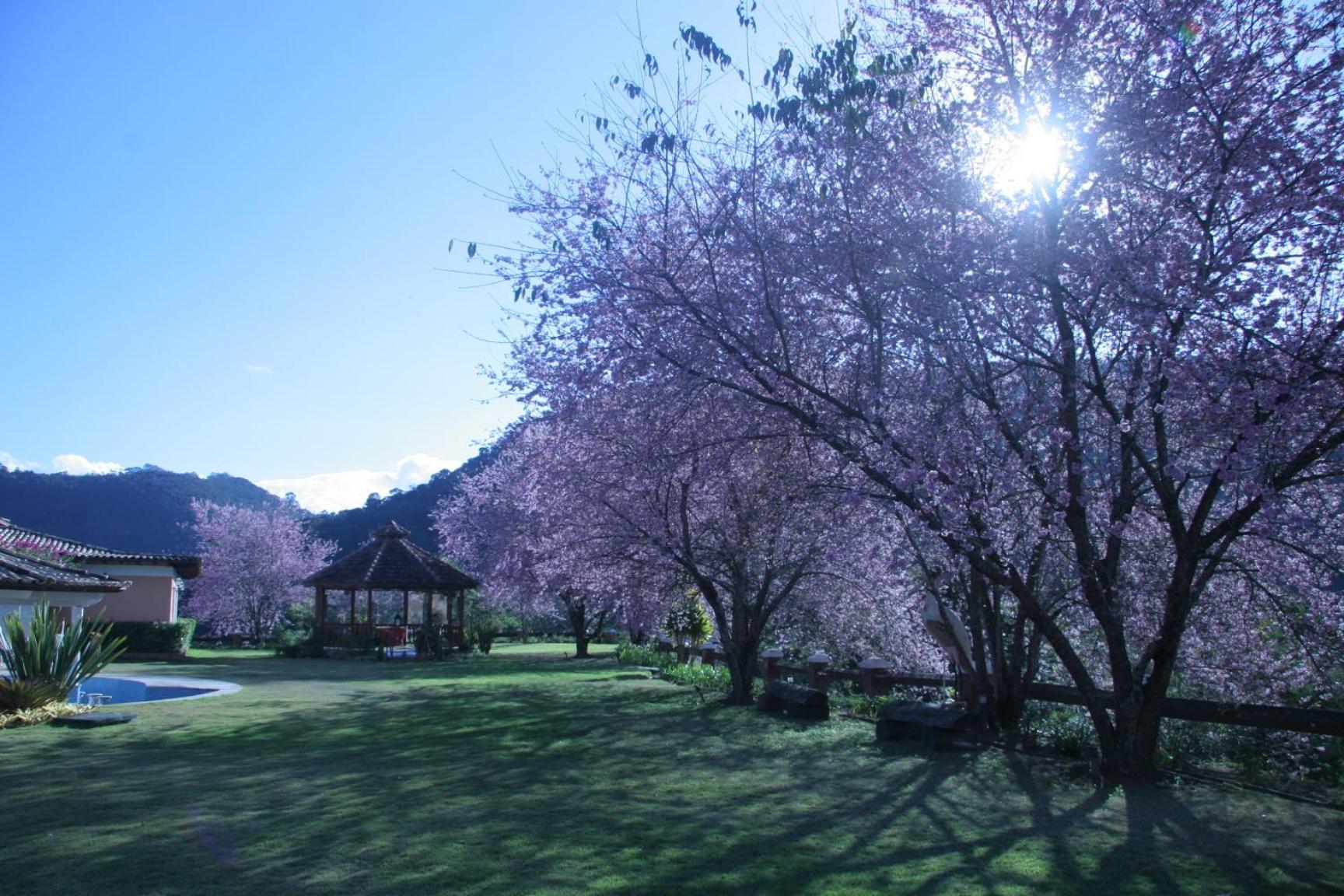 Quinta Da Paz Resort Itaipava 외부 사진